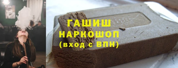 гашик Болотное