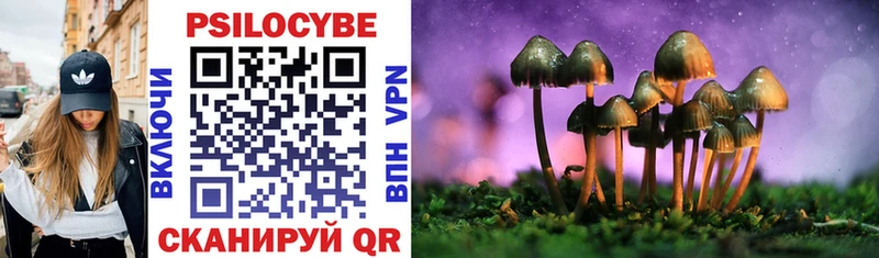 Псилоцибиновые грибы Psilocybine cubensis  где продают наркотики  Николаевск-на-Амуре 